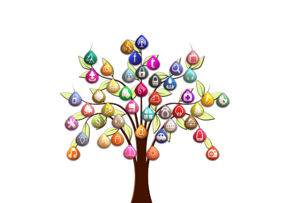 tree Digital Marketing and web development