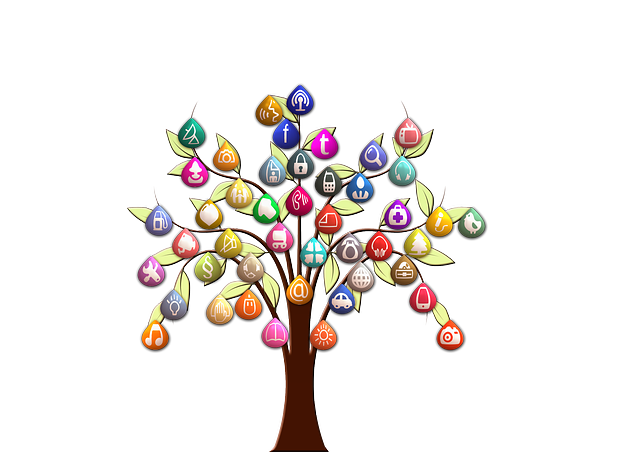 tree Digital Marketing and web development