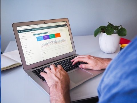 person viewing website rankings and analytics